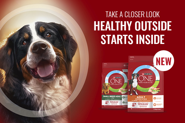 NEW PURINA ONE® dry dog food